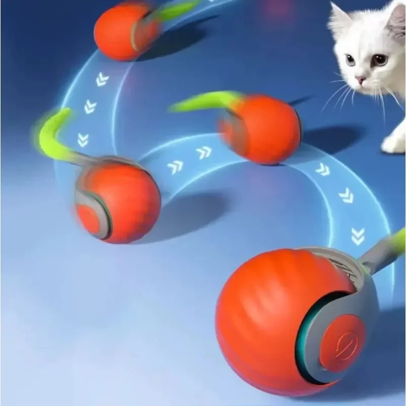 Bolinha Pet Com Rolamento Automático Train