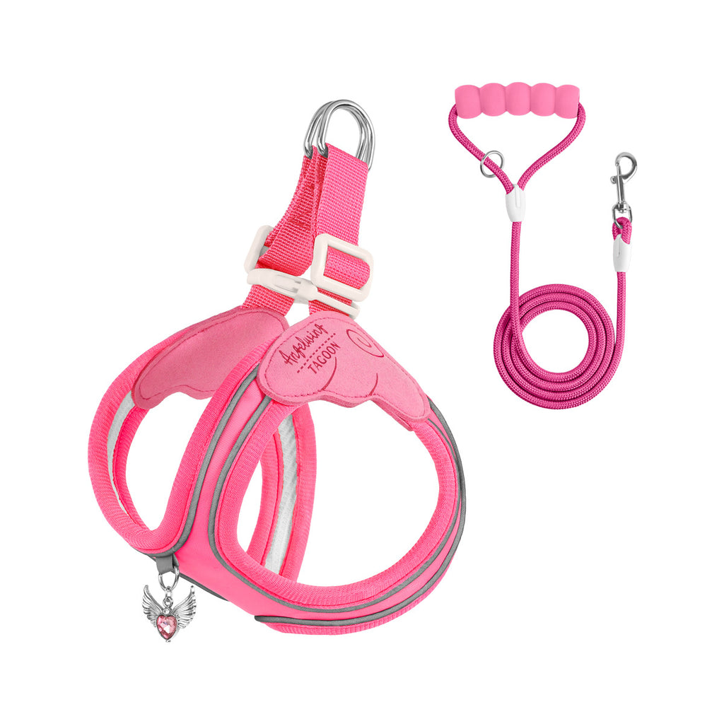 Coleira & Guia Pet Confort Charmy