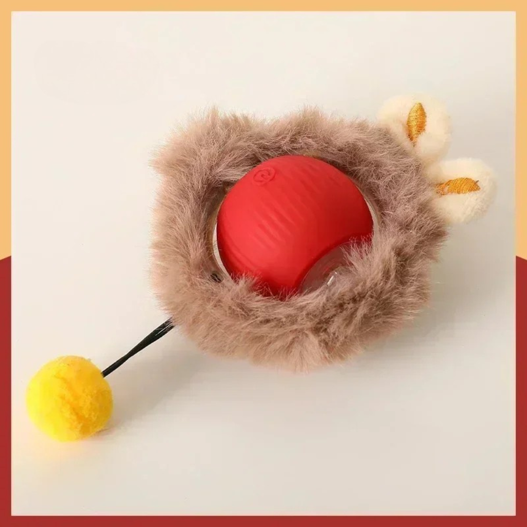Bolinha Rolamento Automático Pet Kitys