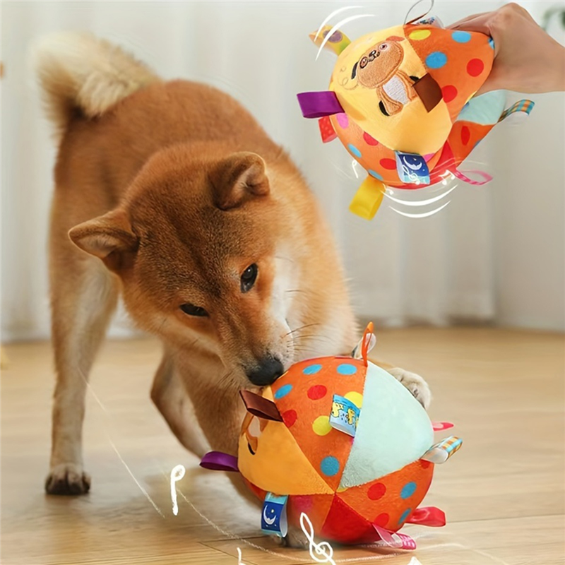 Brinquedo Bola Pet Mágica
