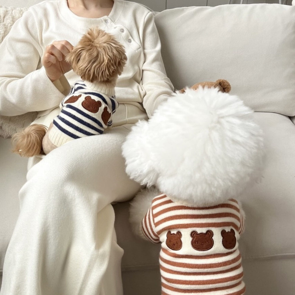 Tricot Pet Fofo Ursinhos