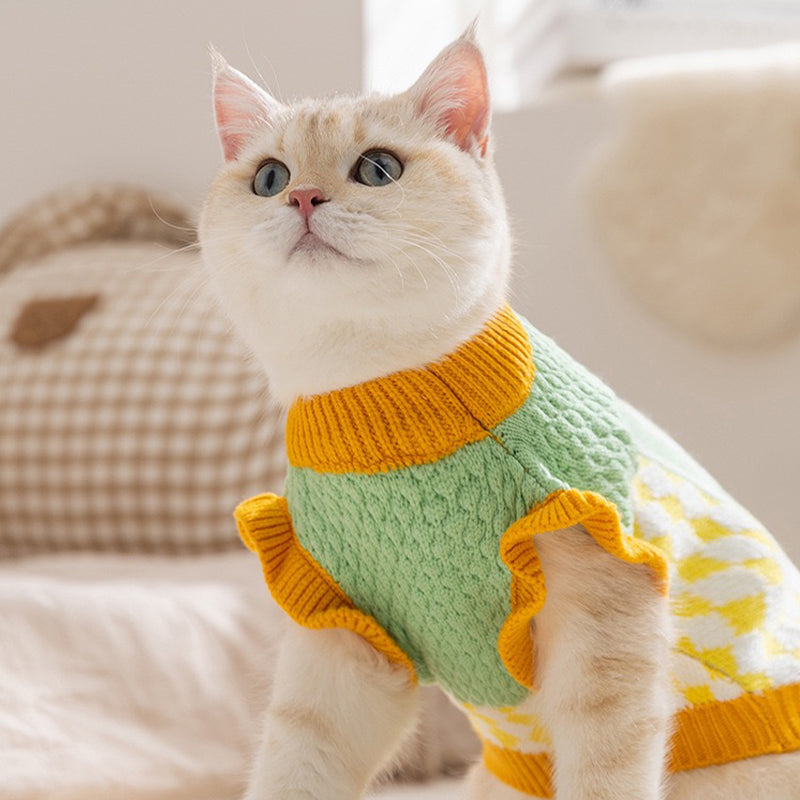 Tricot Pet Classique