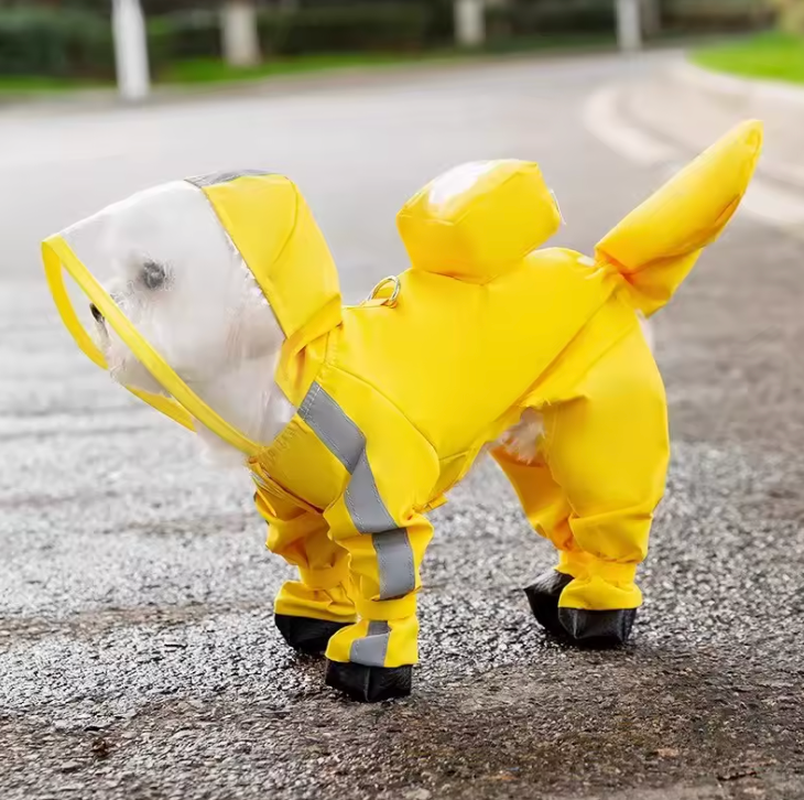 Capa de Chuva Pet Djudi
