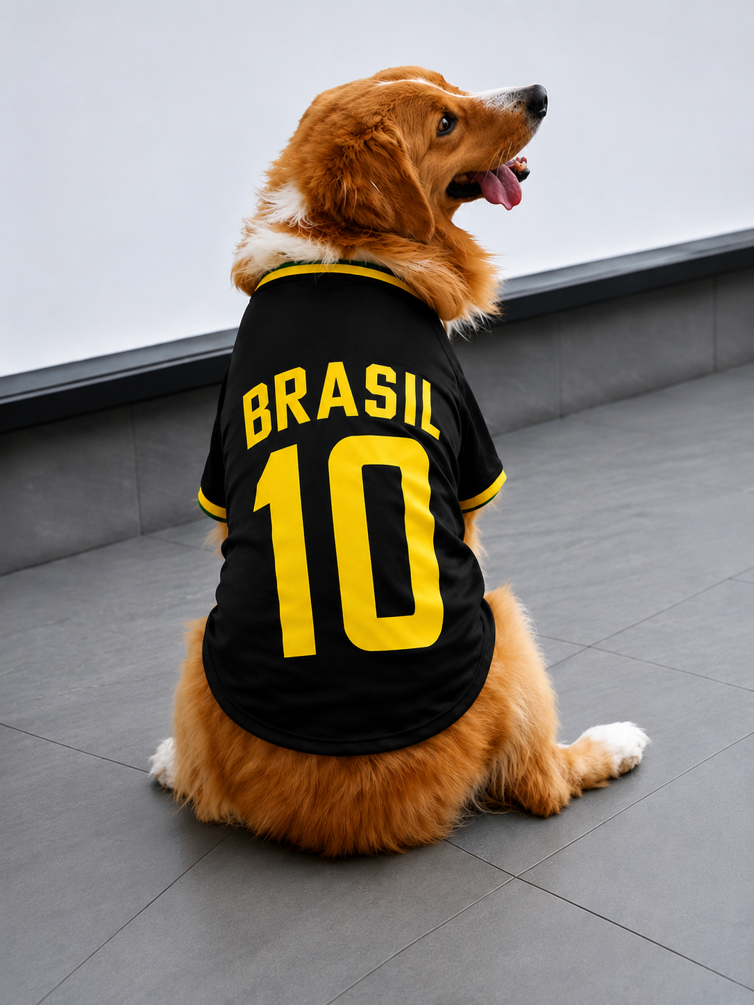 Camiseta Pet Brasil N.10 Copa do Mundo
