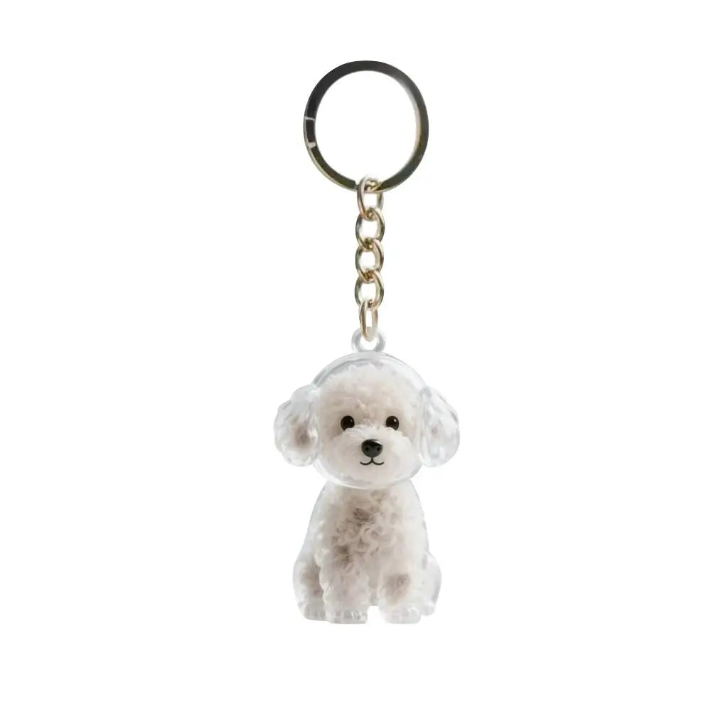 Chaveiro Colecionar Pelos Pet Memories