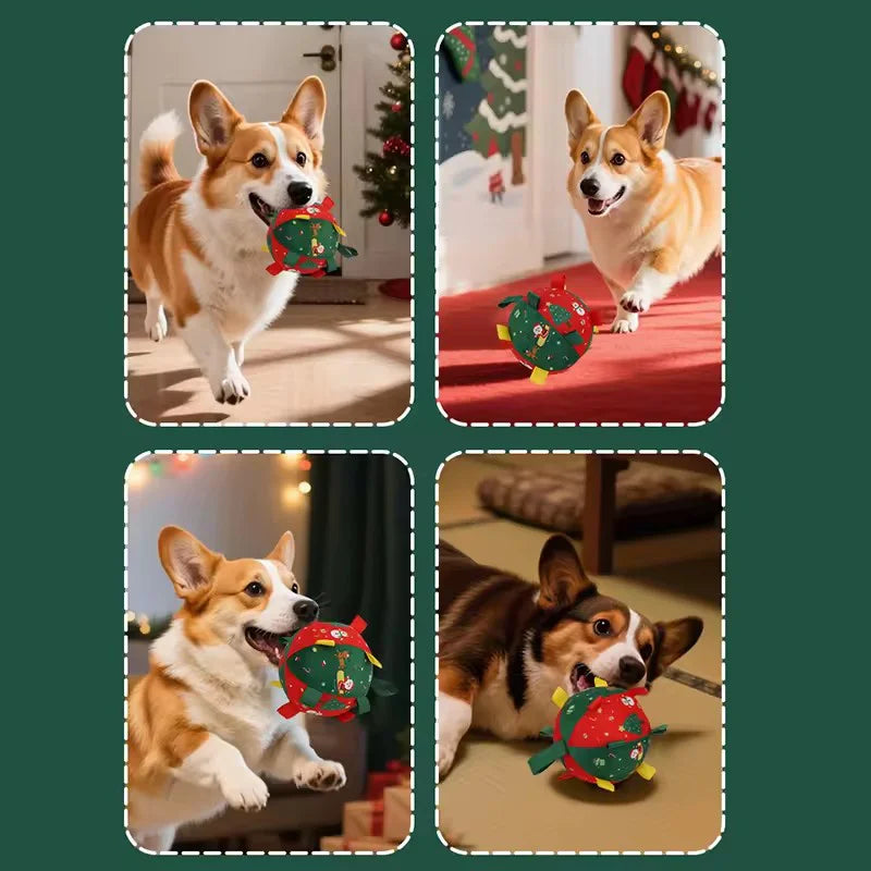 Brinquedo Bola Pet Mágica