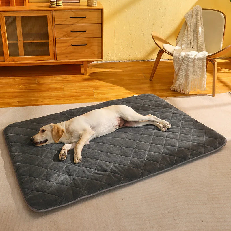 Cama Colchão Pet Fofine
