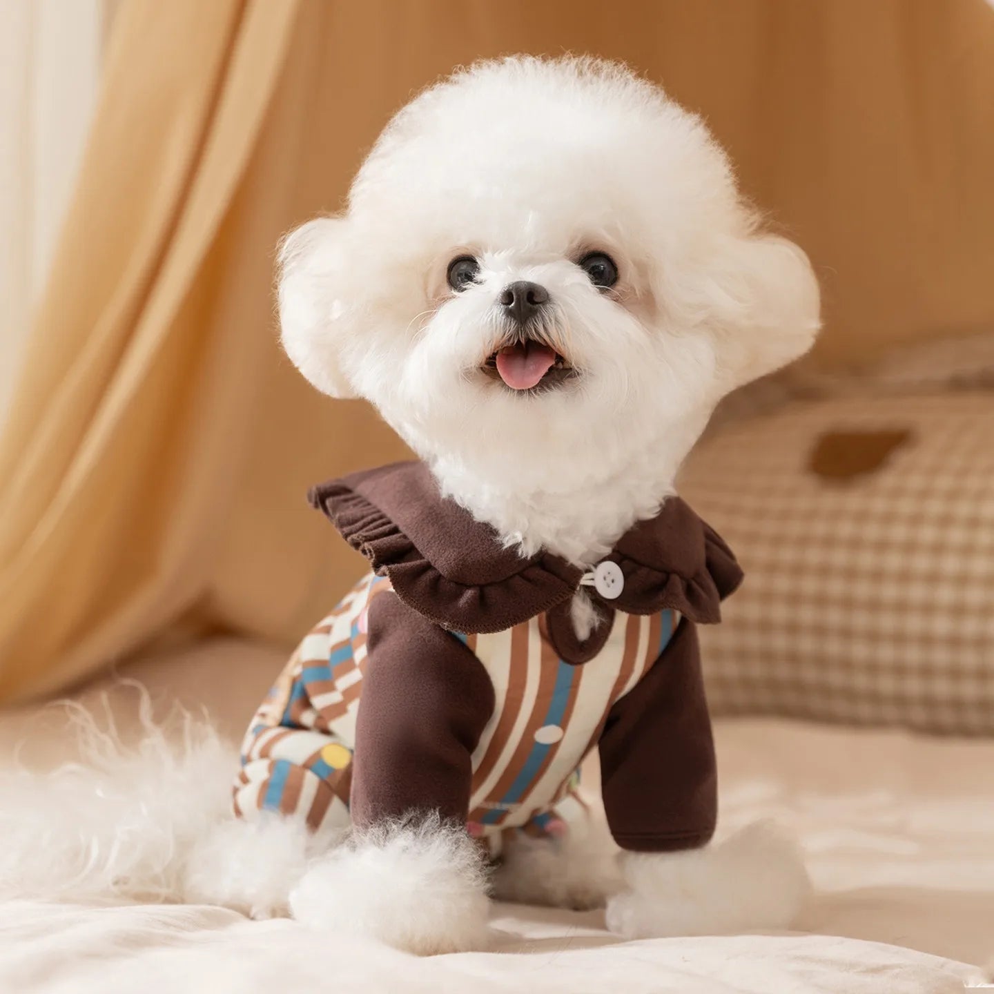Macacão Pet Lilibet