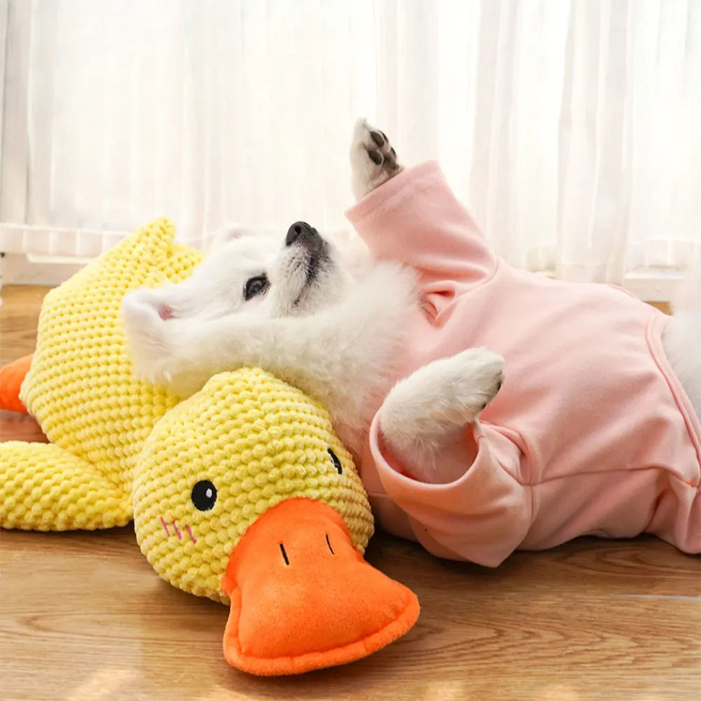 Brinquedo Pet Ursinho Pato