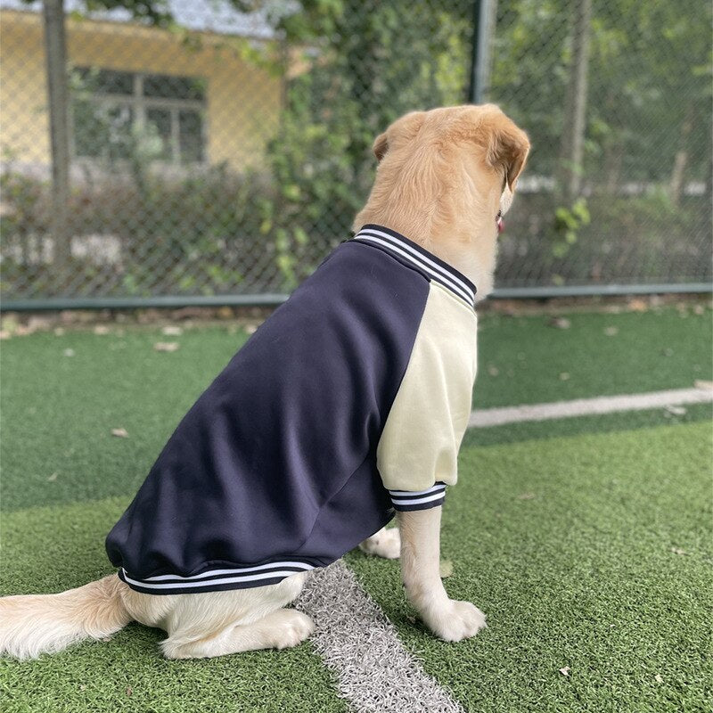 Jaqueta Pet Bomber
