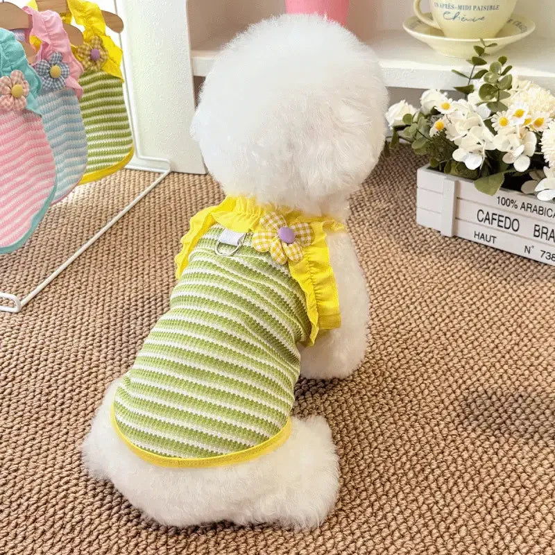 Blusinha Pet Cissi