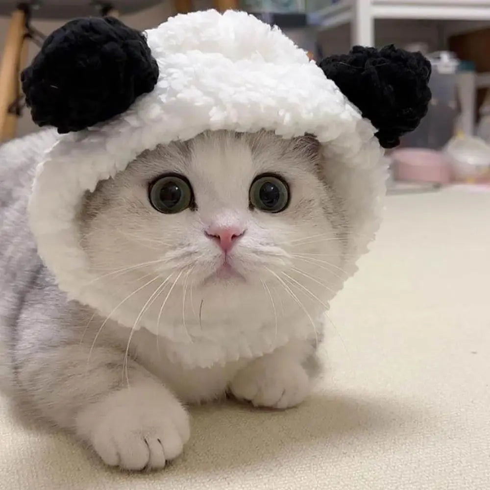 Gorrinho Pet Ursinho