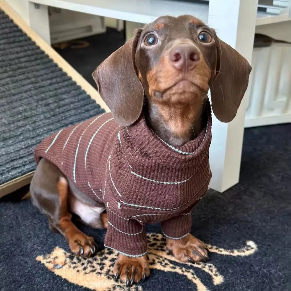 Roupinha Pet Dachshund Clothes
