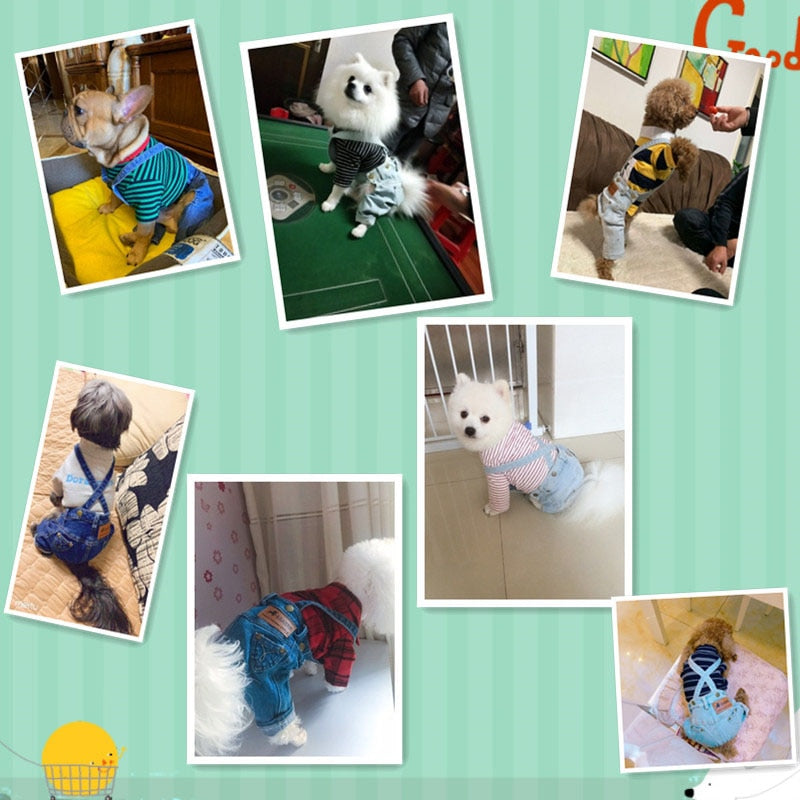 Macacão Jeans Pet Skelt