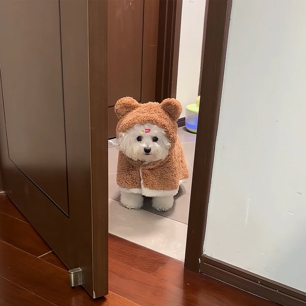 Roupinha Poncho Coat Bear