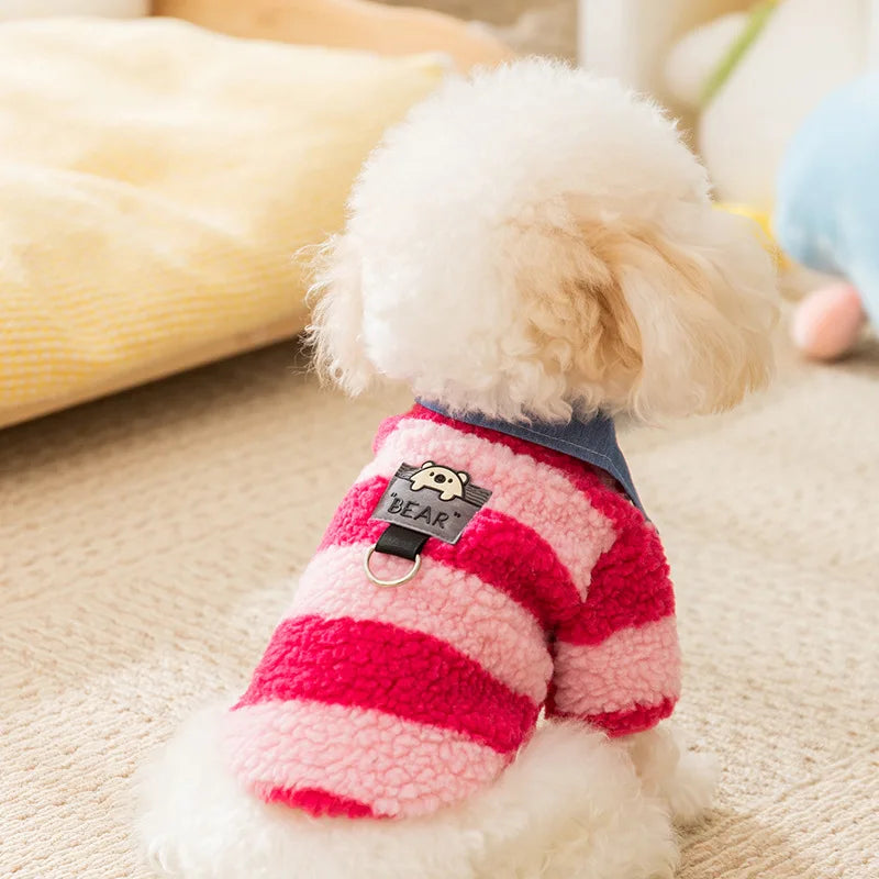 Casaquinho Pet Candy Pop