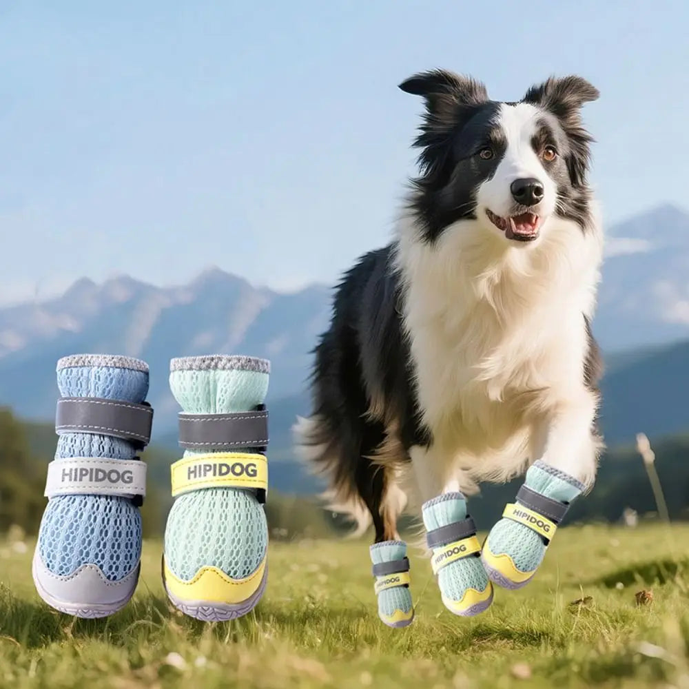 Sapatinho Flexível Antiderrapante Pet Olix