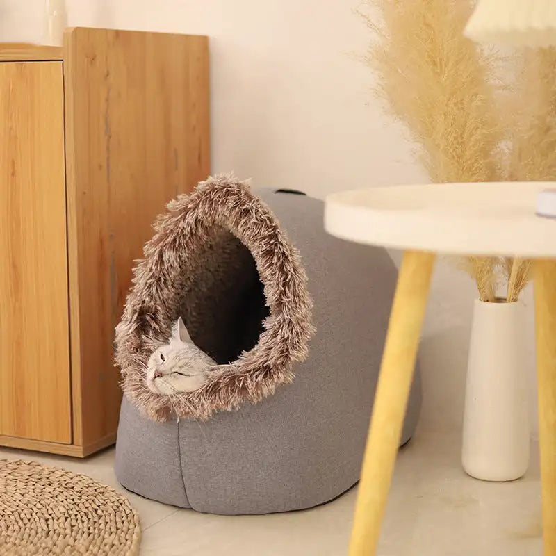 Cama Pet Toquinha Holave