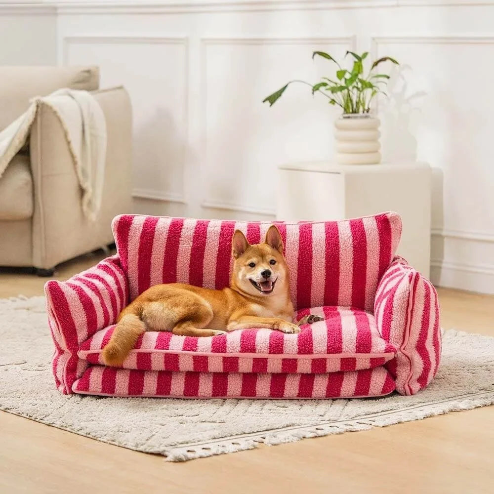 Cama Sofá Pet CasaBelle
