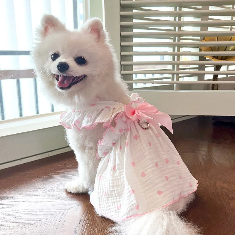 Vestido Pet Namy