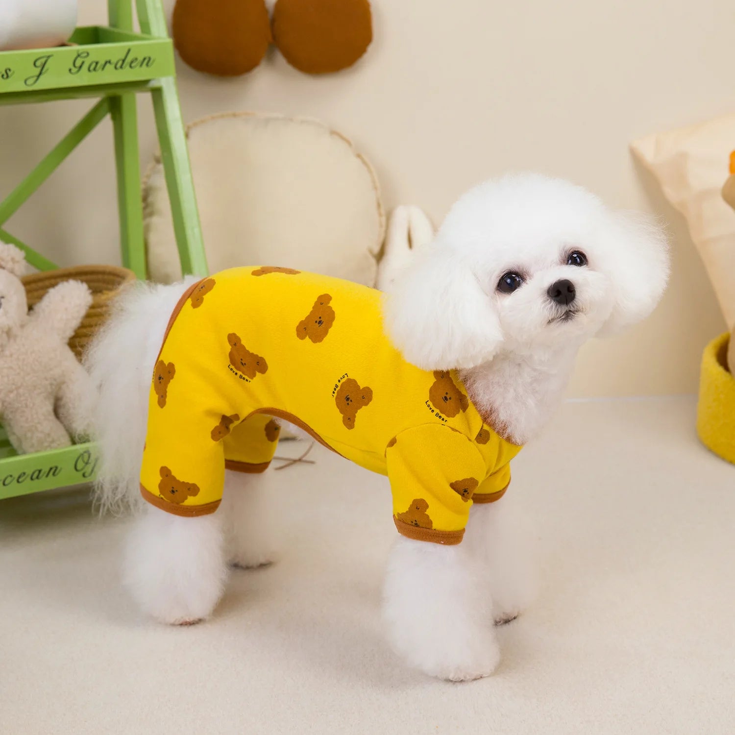 Blusa &/ou Macacão Pet Teddy