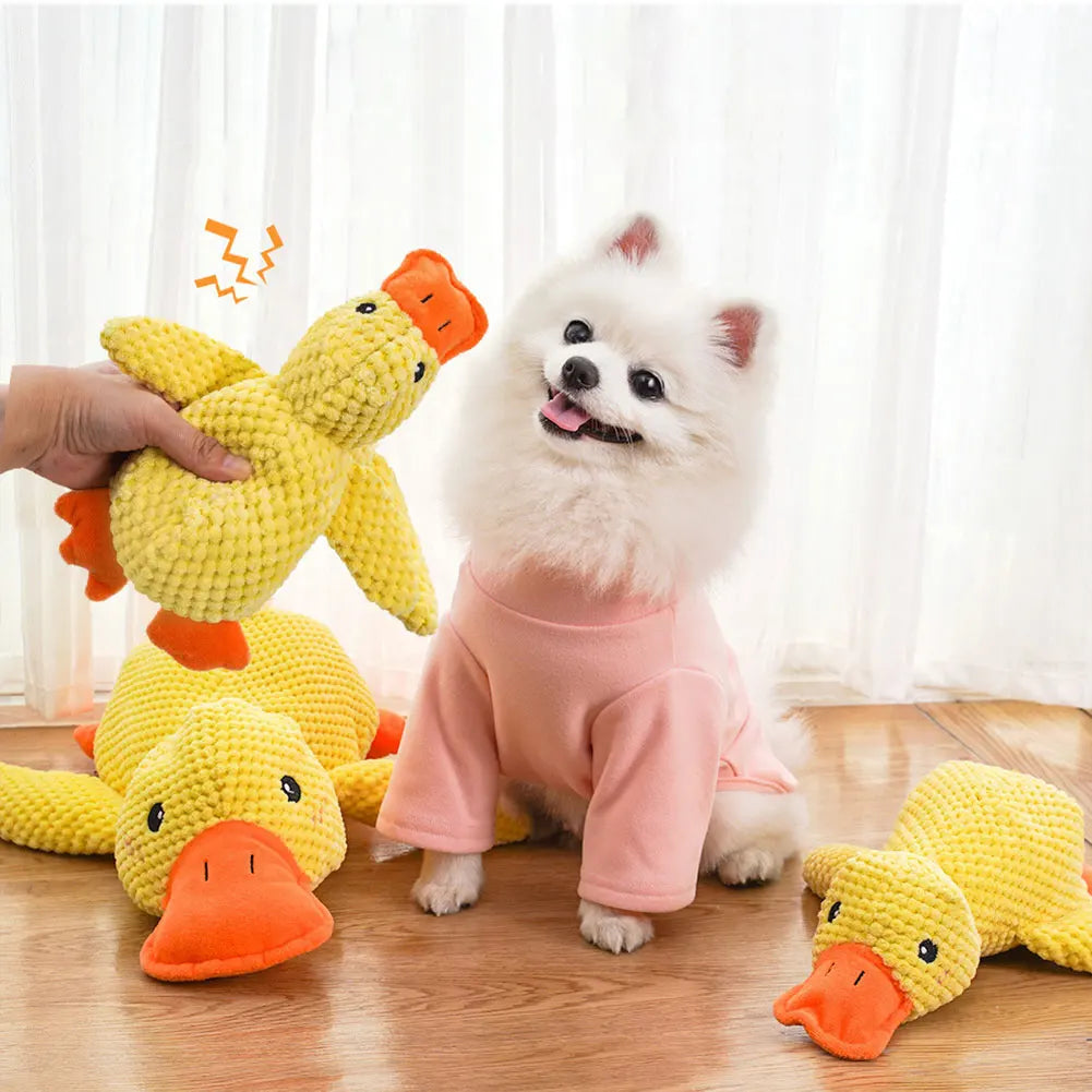Brinquedo Pet Ursinho Pato