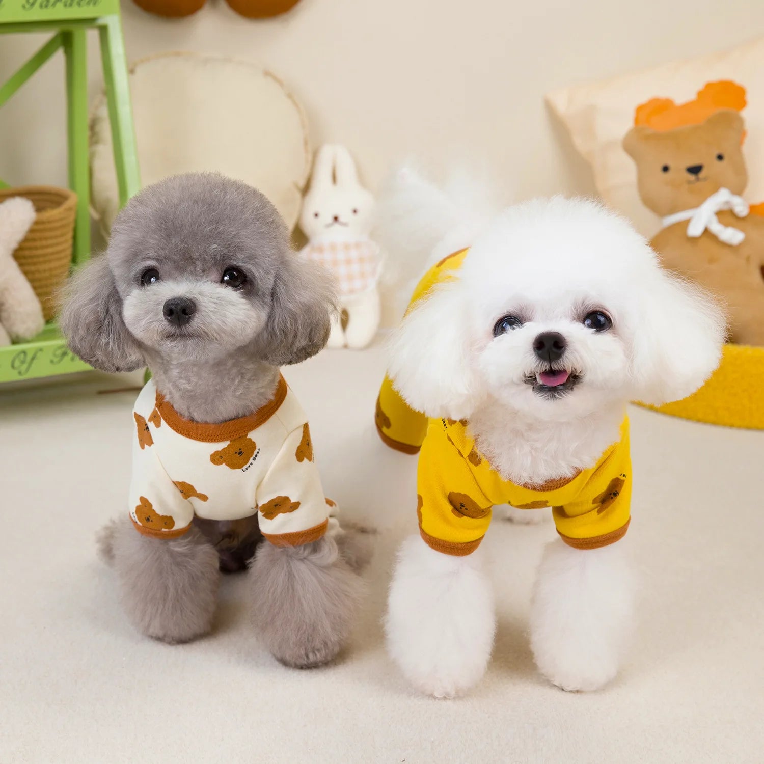 Blusa &/ou Macacão Pet Teddy
