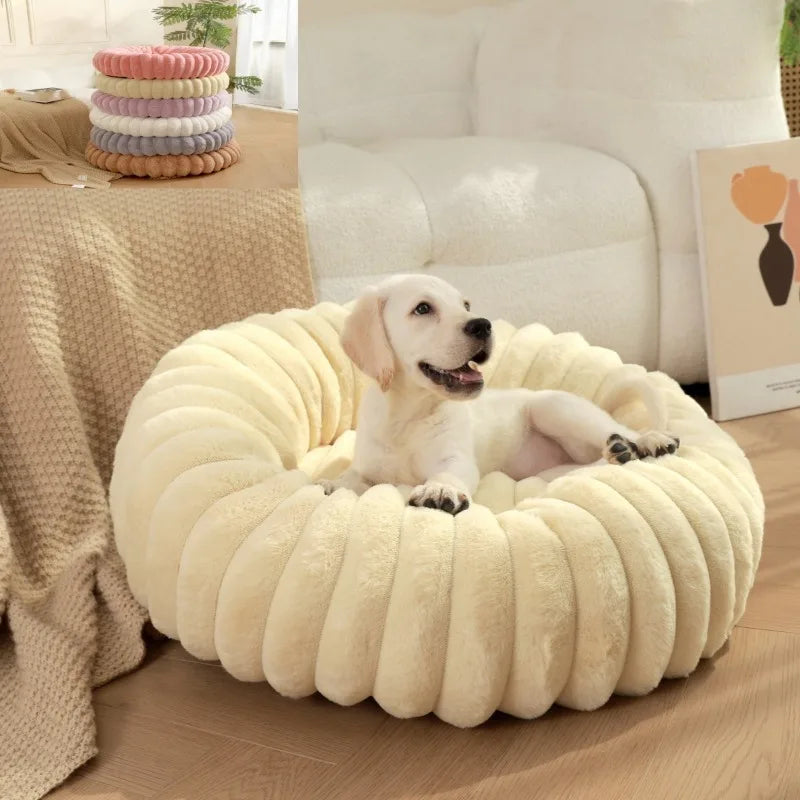 Puff Pet Colmeia