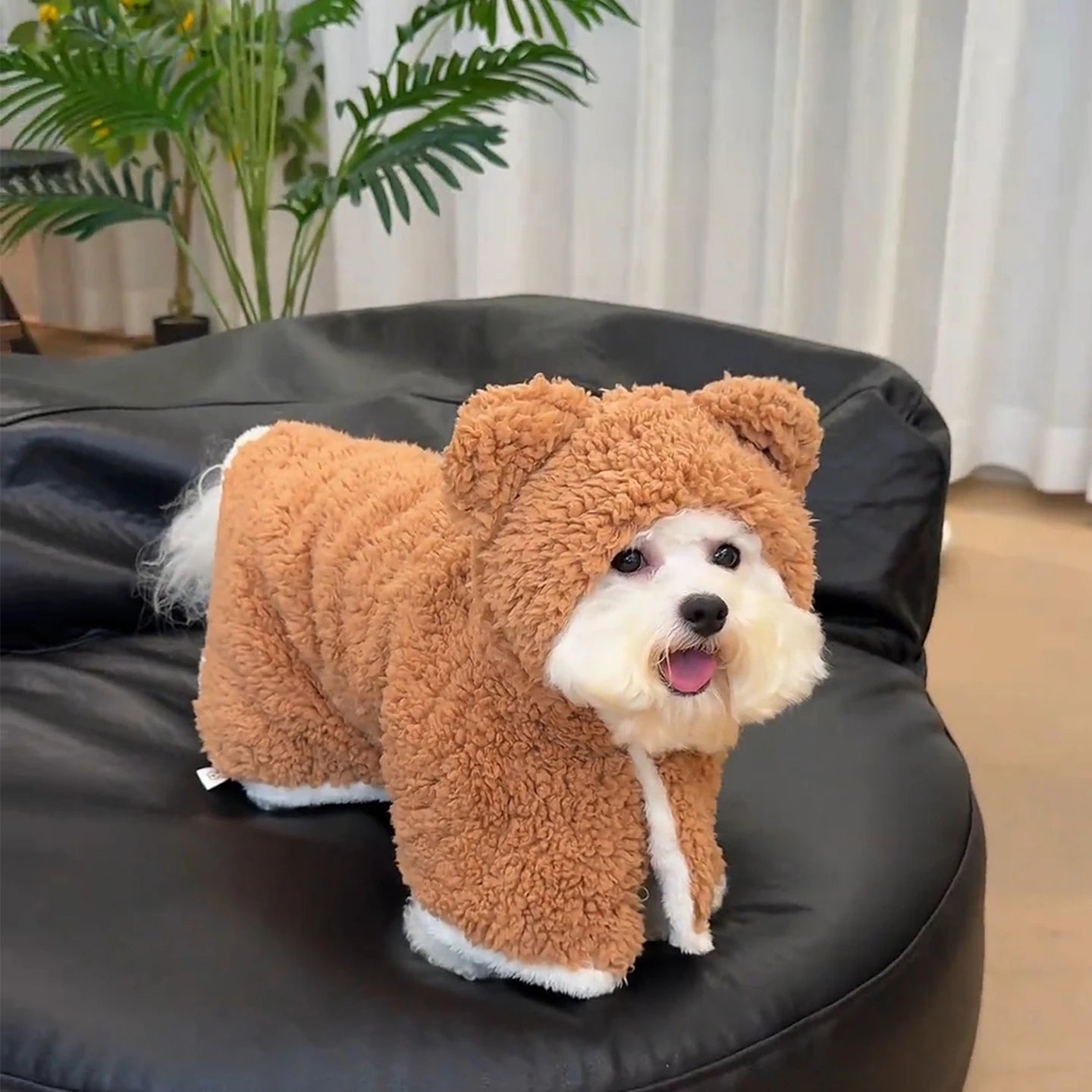 Roupinha Poncho Coat Bear