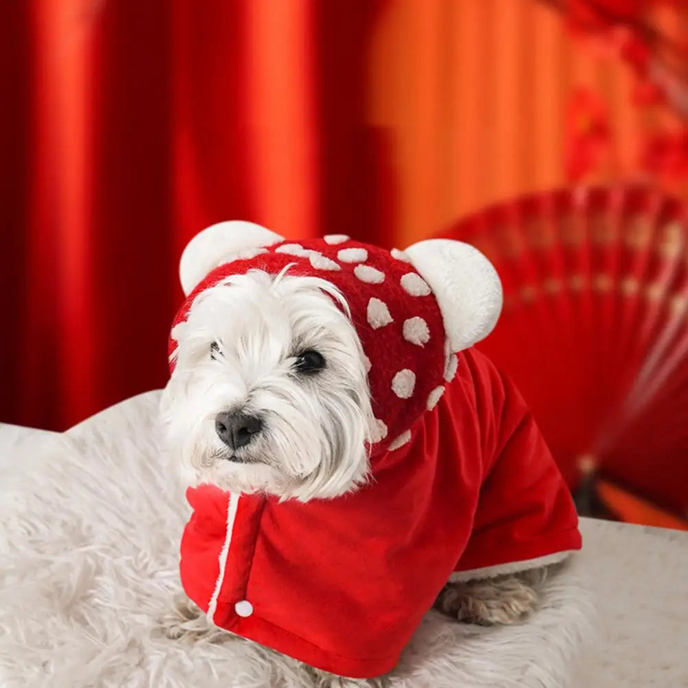 Roupinha Pet Poncho Poquet