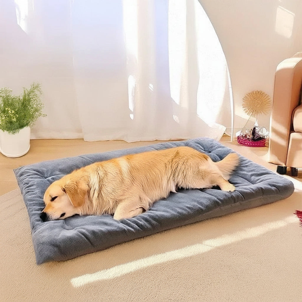 Cama Pet Colchão Blissem