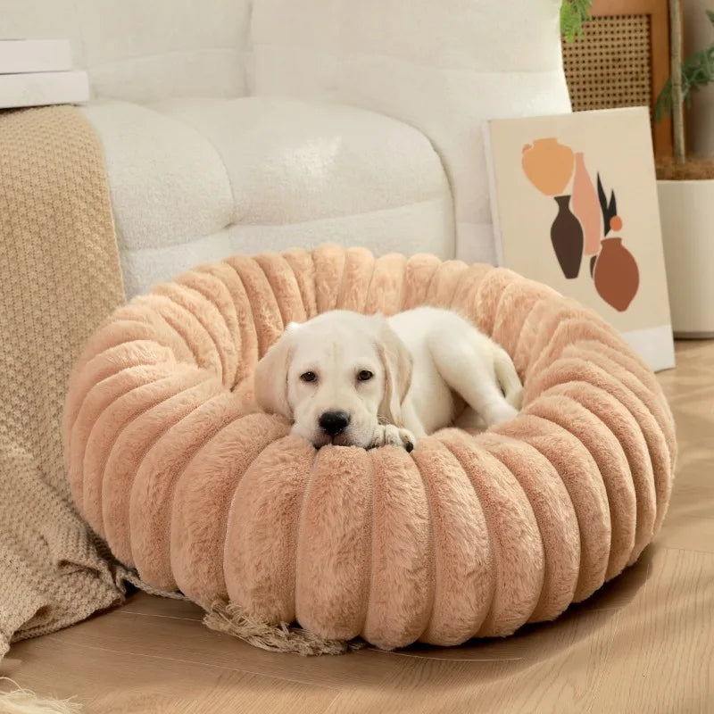 Puff Pet Colmeia