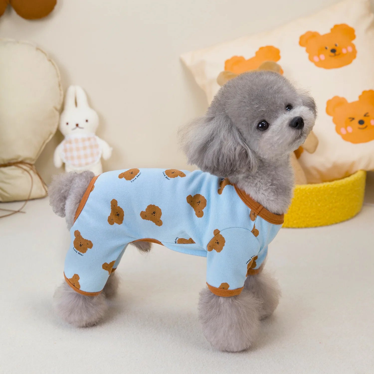 Blusa &/ou Macacão Pet Teddy