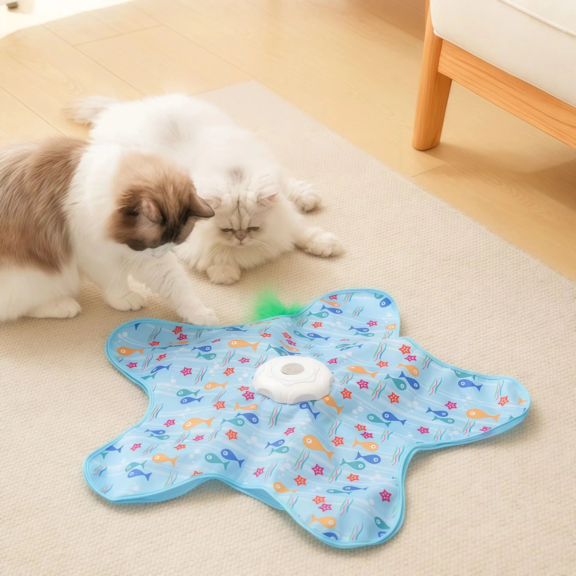 Brinquedo Pet Interativo Dress