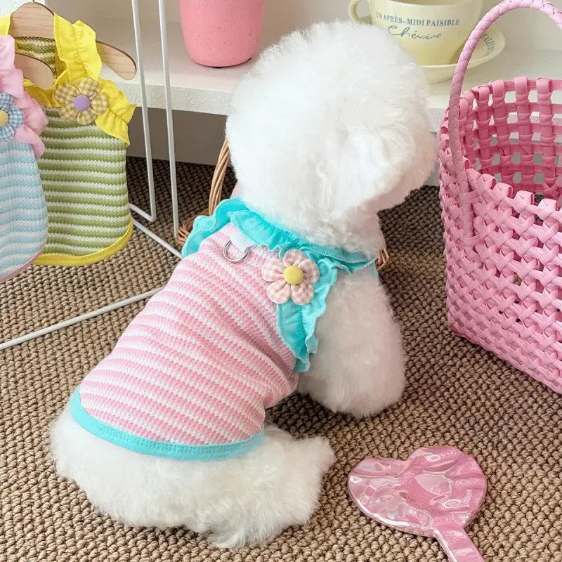 Blusinha Pet Cissi