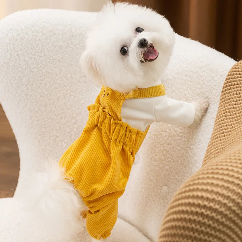 Macacão Pet Peluche