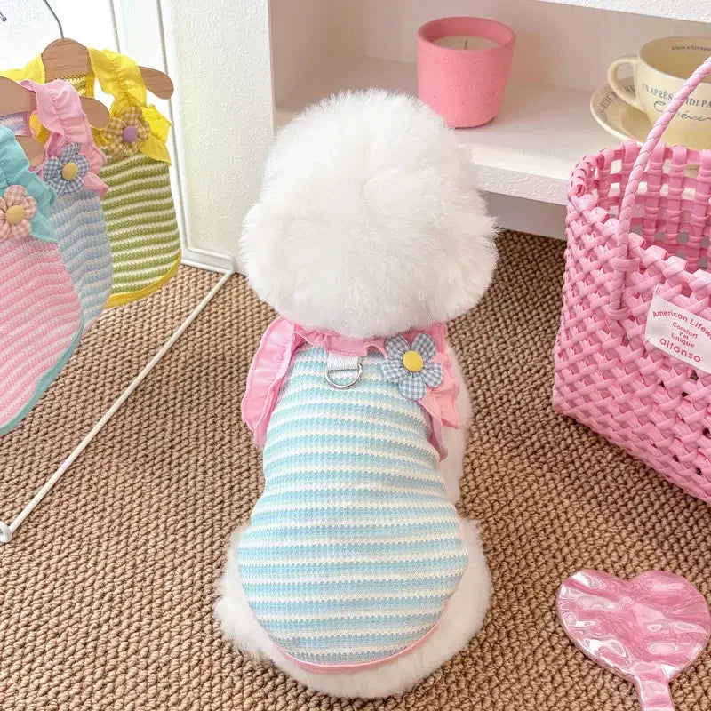 Blusinha Pet Cissi
