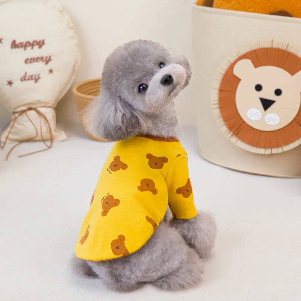Blusa &/ou Macacão Pet Teddy