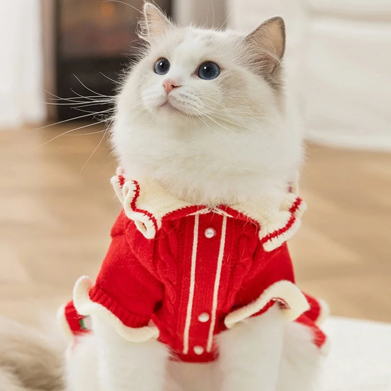 Vestido Pet Encanto