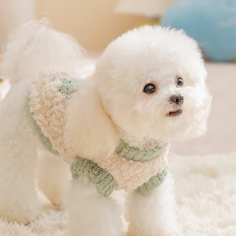 Coletinho Pet Cutes