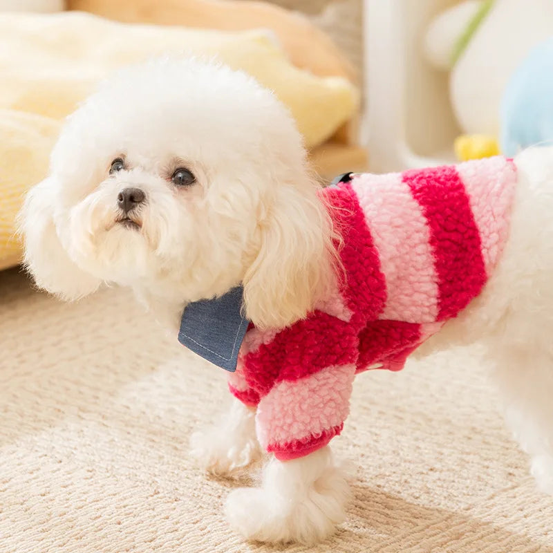 Casaquinho Pet Candy Pop