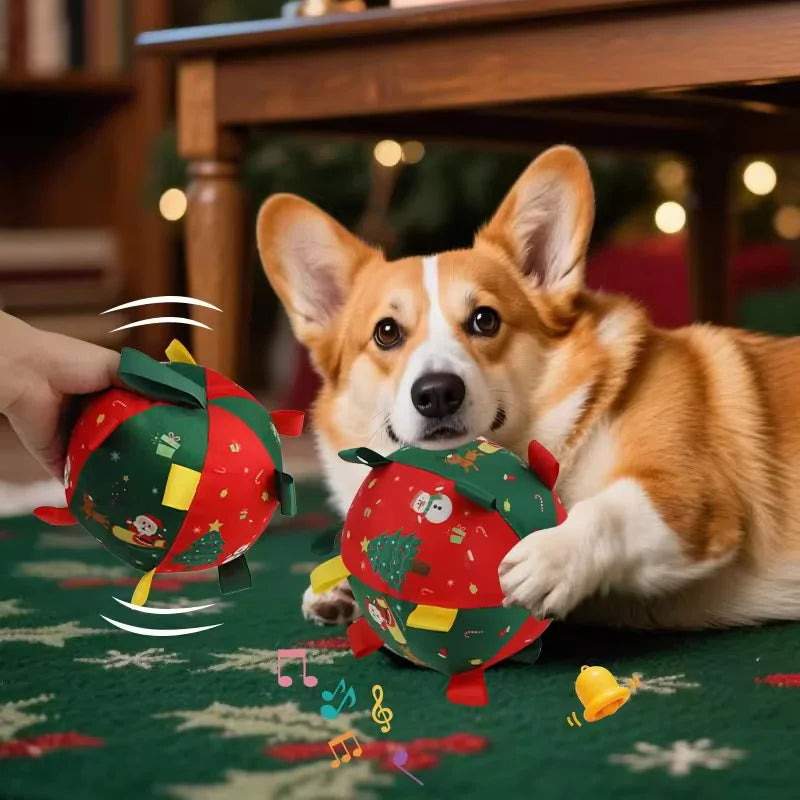 Brinquedo Bola Pet Mágica