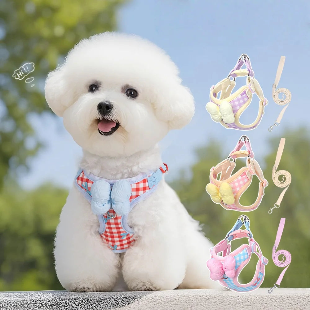 Coleira & Guia SweetPet