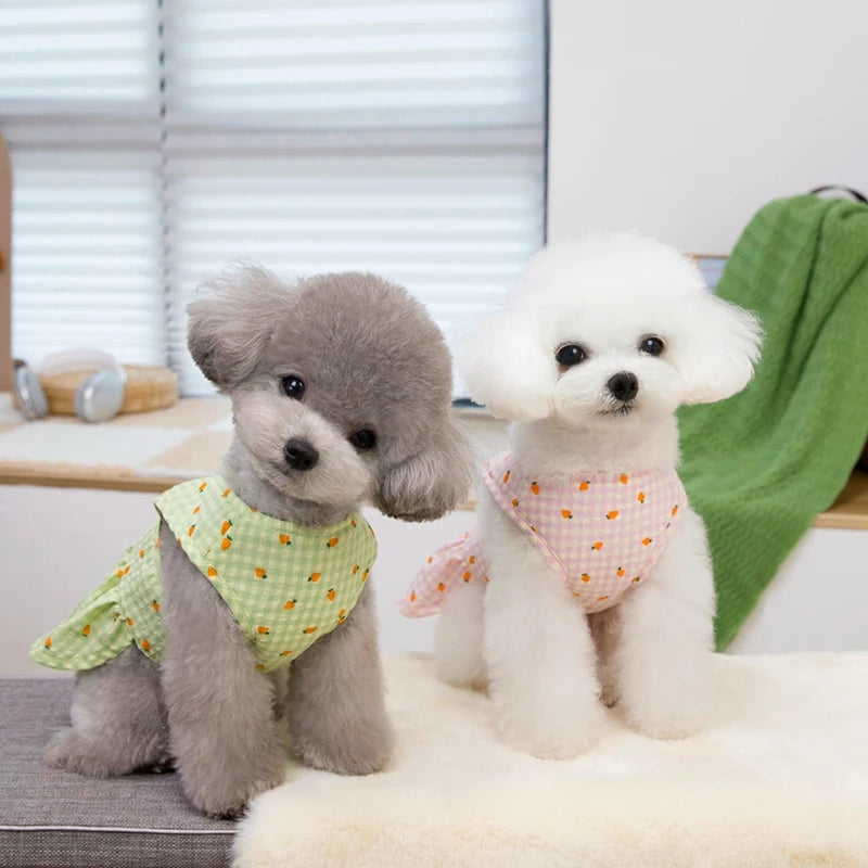 Vestido Pet Princess