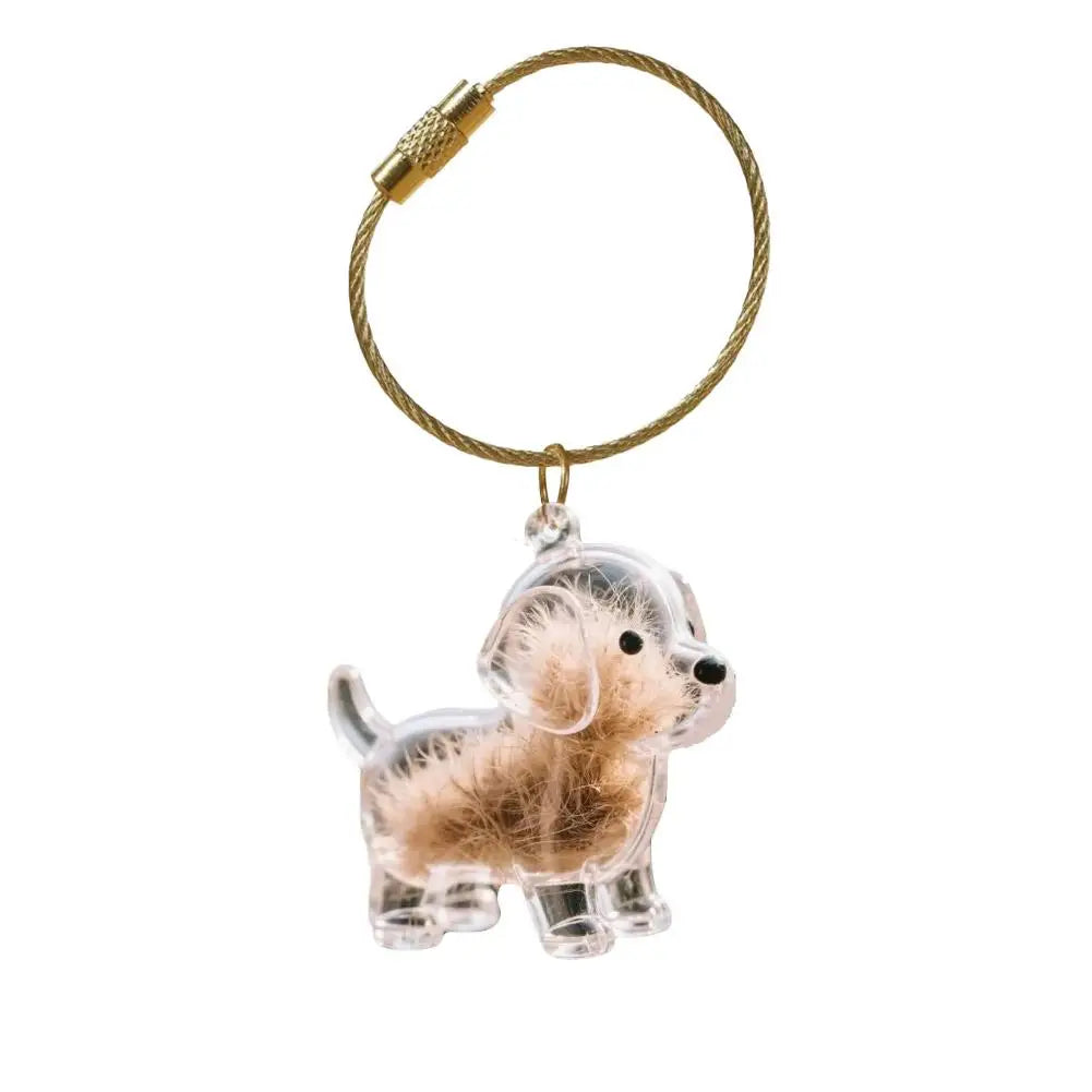 Chaveiro Colecionar Pelos Pet Memories
