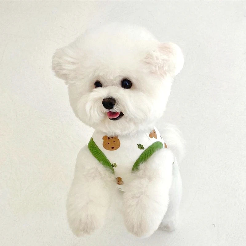 Regatinha Pet Animais