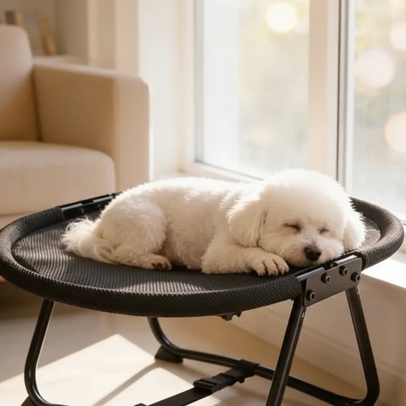 Cama Pet Rede Portátil Dobrável Loveni