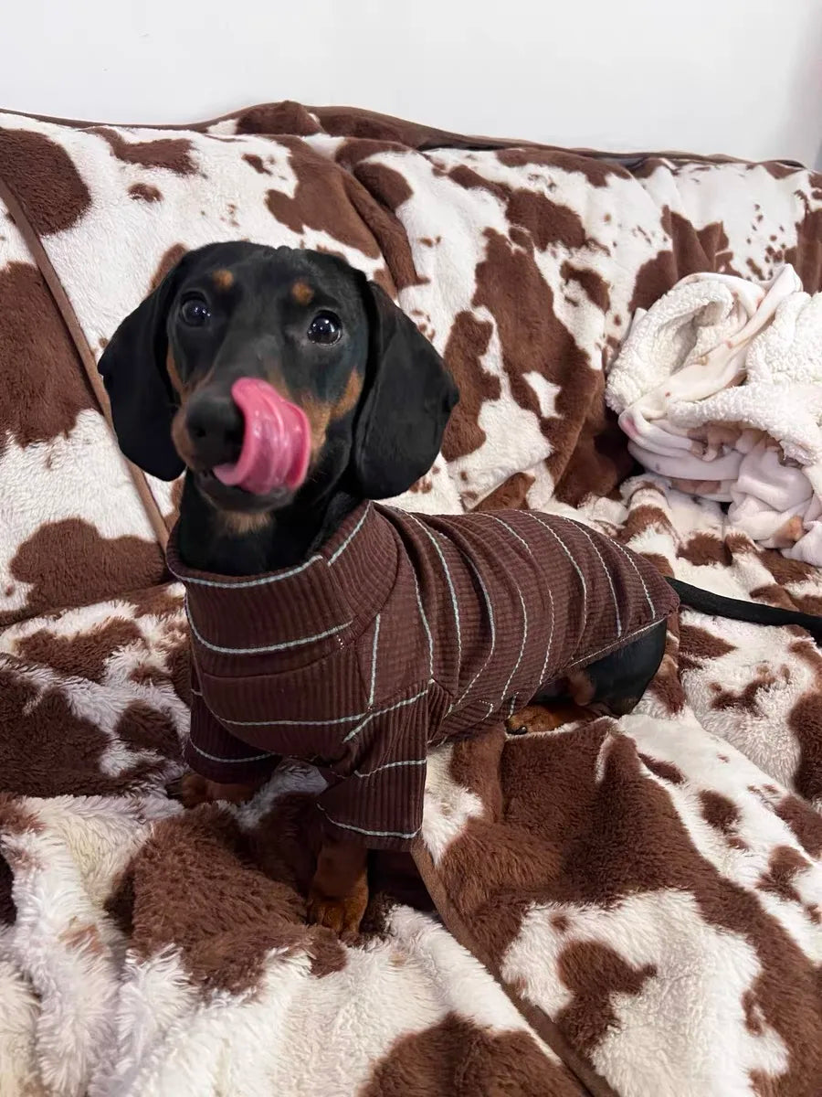 Roupinha Pet Dachshund Clothes