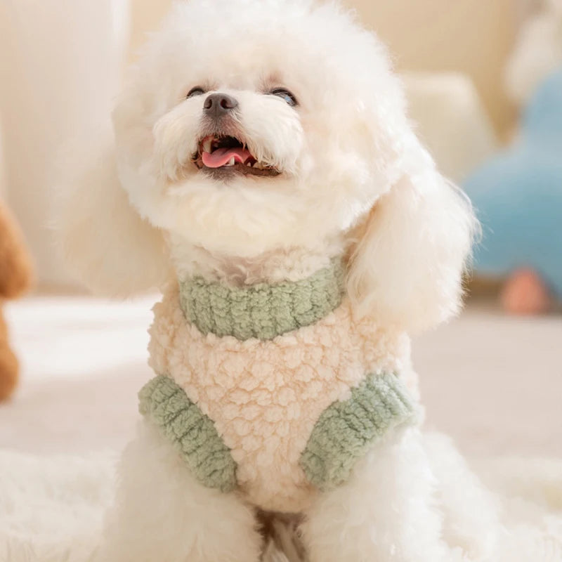 Coletinho Pet Cutes