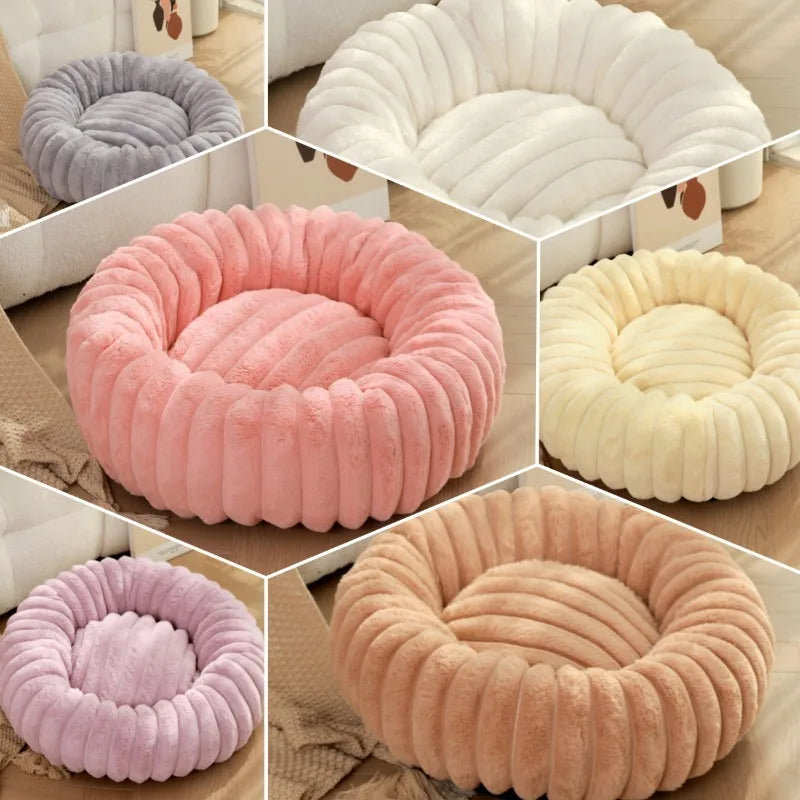 Puff Pet Colmeia